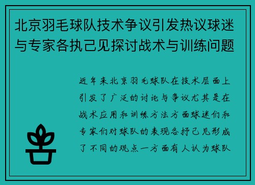 北京羽毛球队技术争议引发热议球迷与专家各执己见探讨战术与训练问题